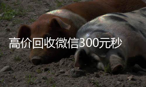高价回收微信30024小时在线回收vx元秒结（高价回收vx300元秒结）
